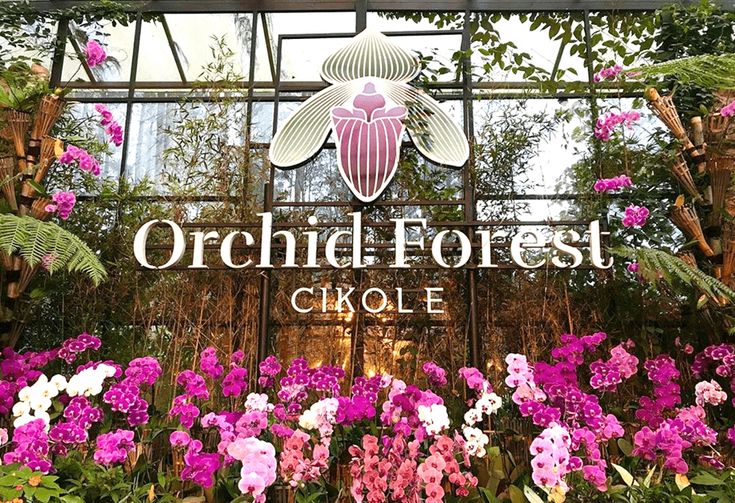 Orchid Forest Cikole 
