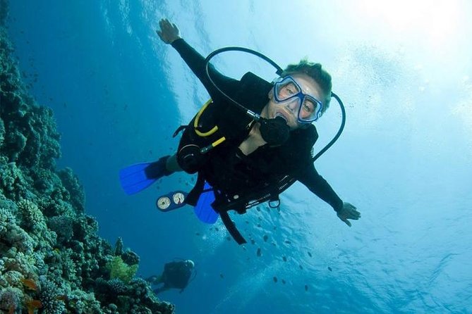 Bali: Menjangan Island, Small-Group Scuba Diving Experience 2026 - Pemuteran
