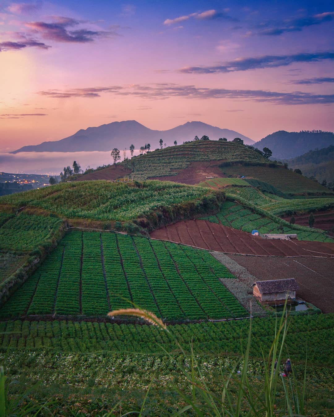 Pemandangan di Brakseng, Batu (Sumber: Instagram/@ajuprasetyo)