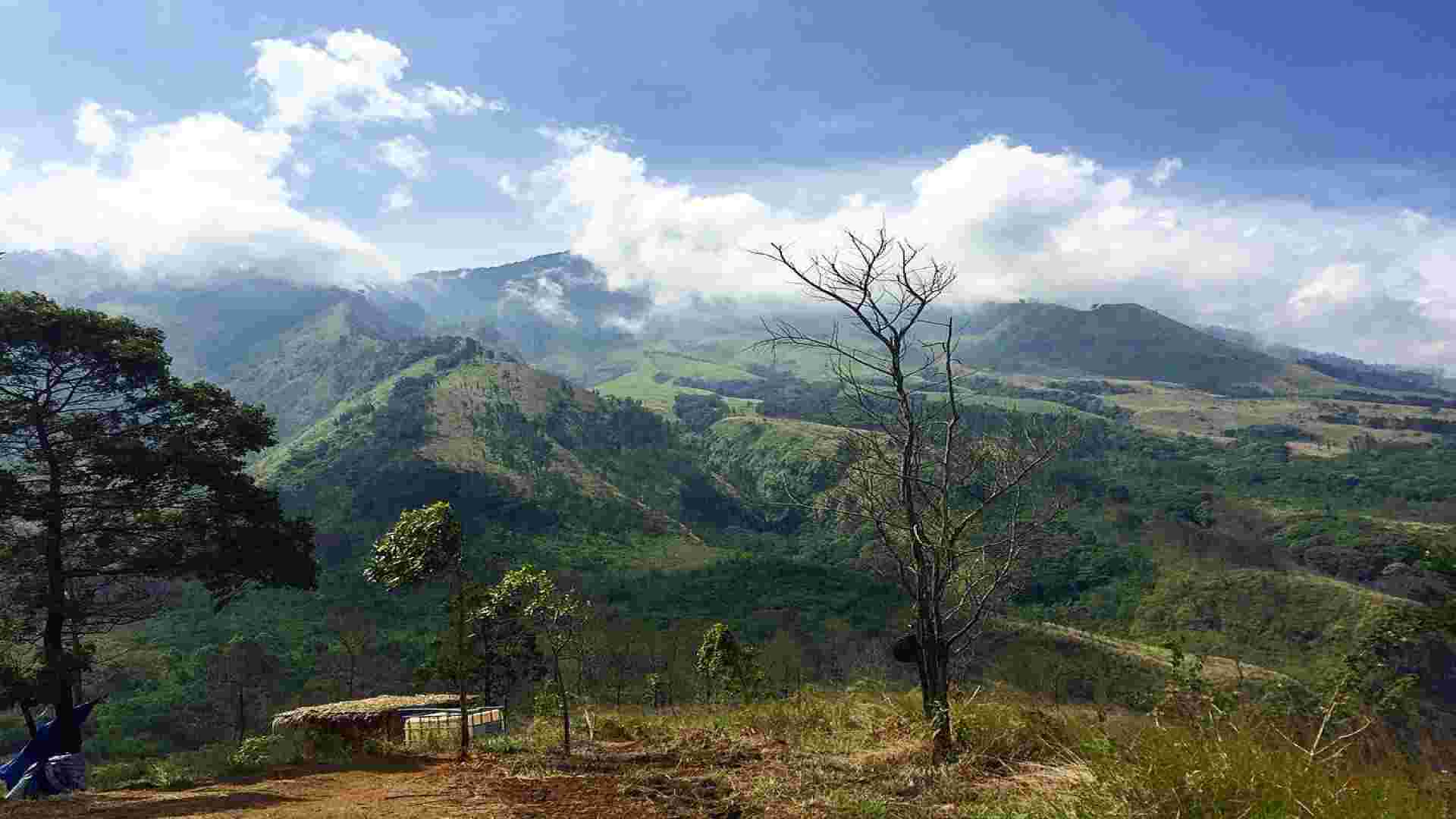 Camping & Trekking Santai di Puncak Budug Asu (Sumber: sidita.disbudpar.jatimprov.go.id)