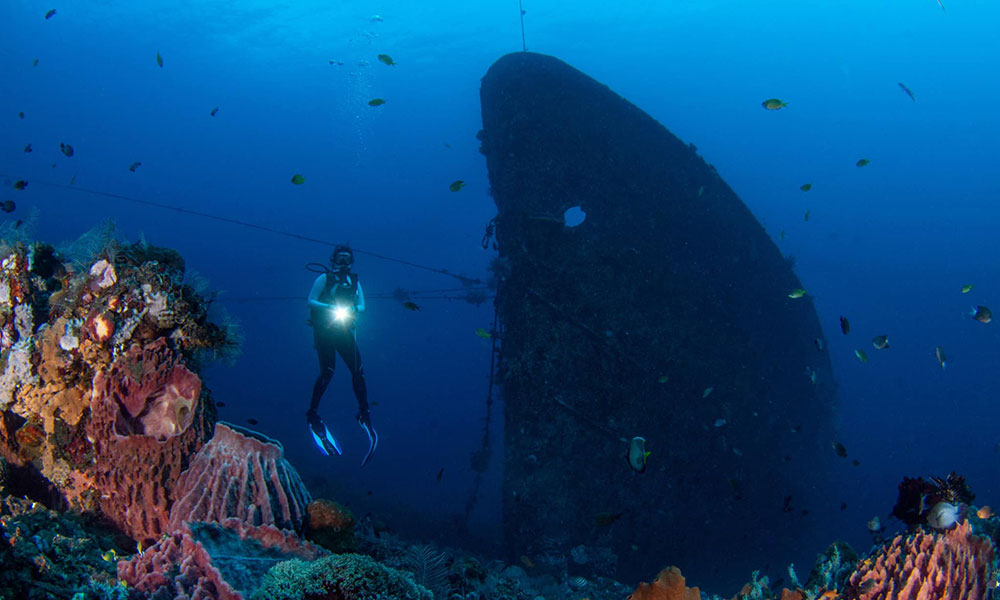 Where to Go Wreck Diving in Bali - Let's Dive Tulamben