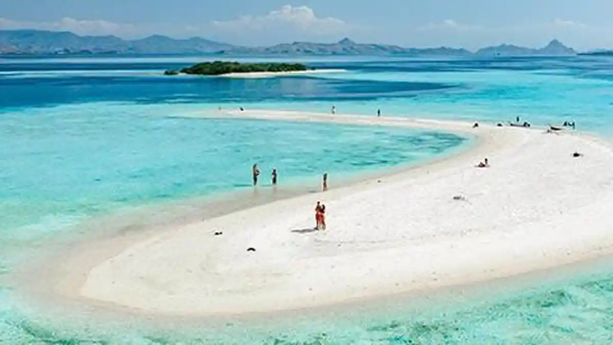 Taka Makassar, Spot Terbaik untuk Diving dan Snorkeling di Labuan Bajo - Tribunflores.com
