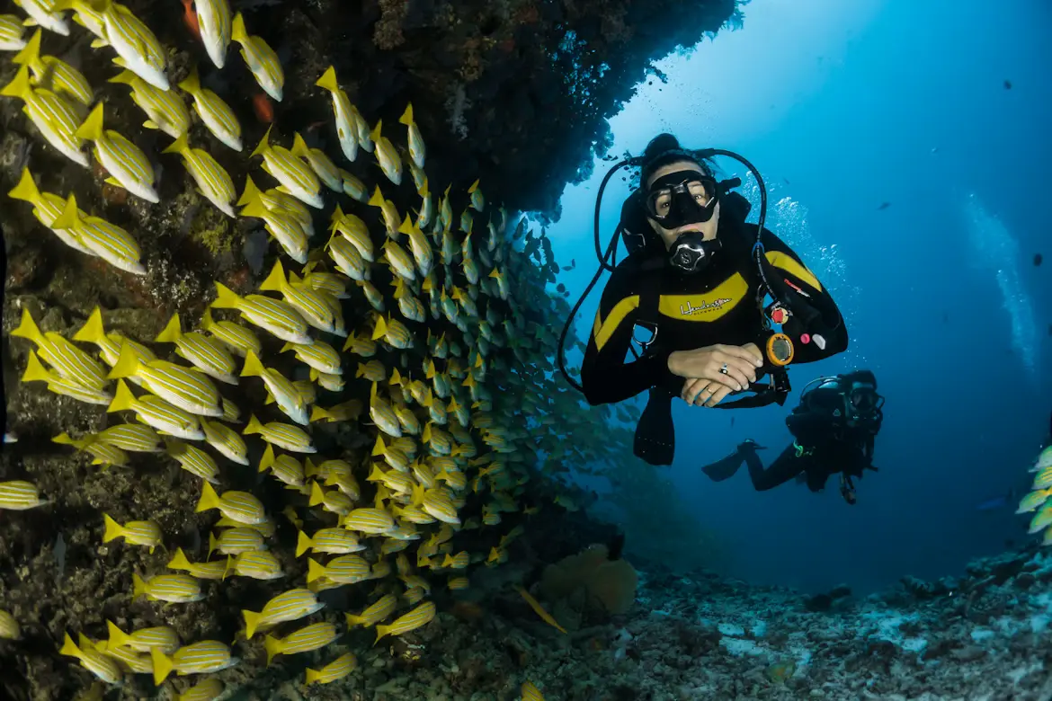Panduan Basecamp Diving Bali, Pilih Lokasi Selam Favoritmu!