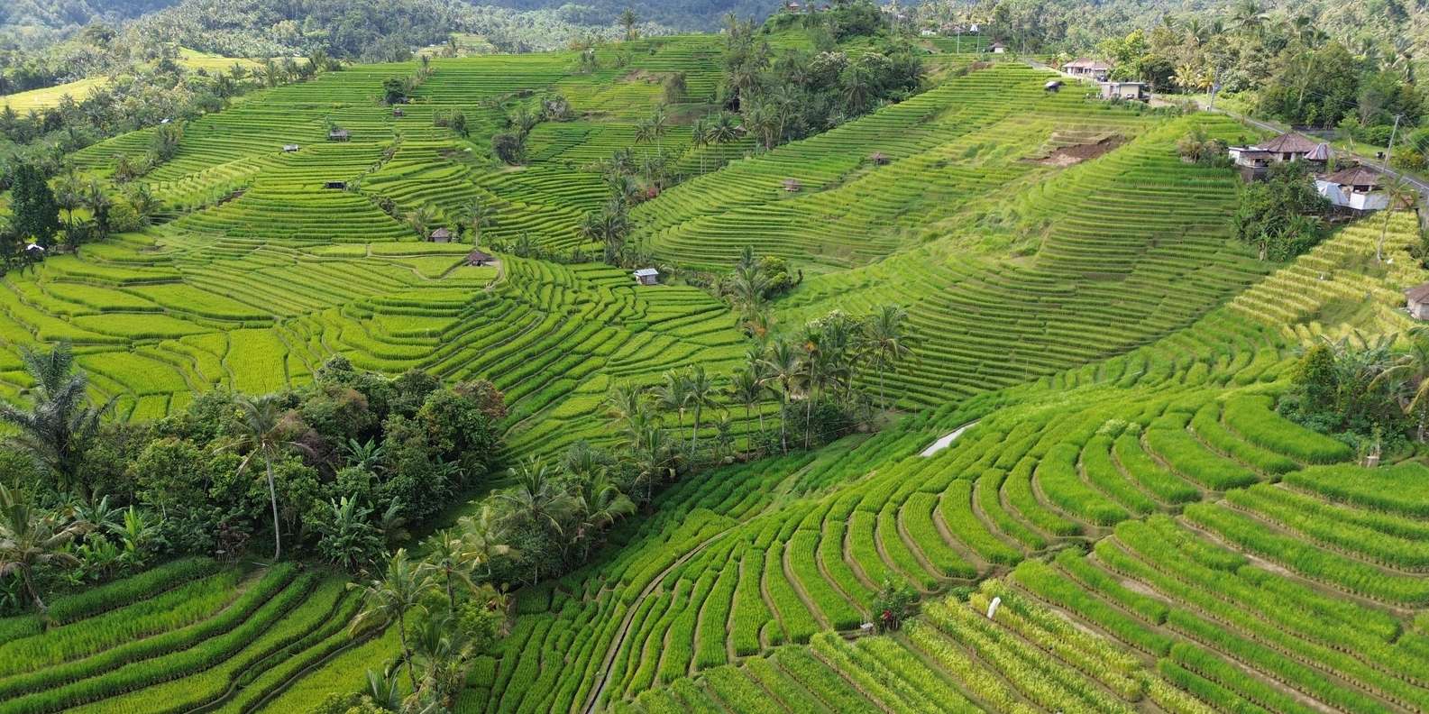Bali: Trekking Desa Belimbing dengan Air Terjun & Kunjungan Pura | GetYourGuide