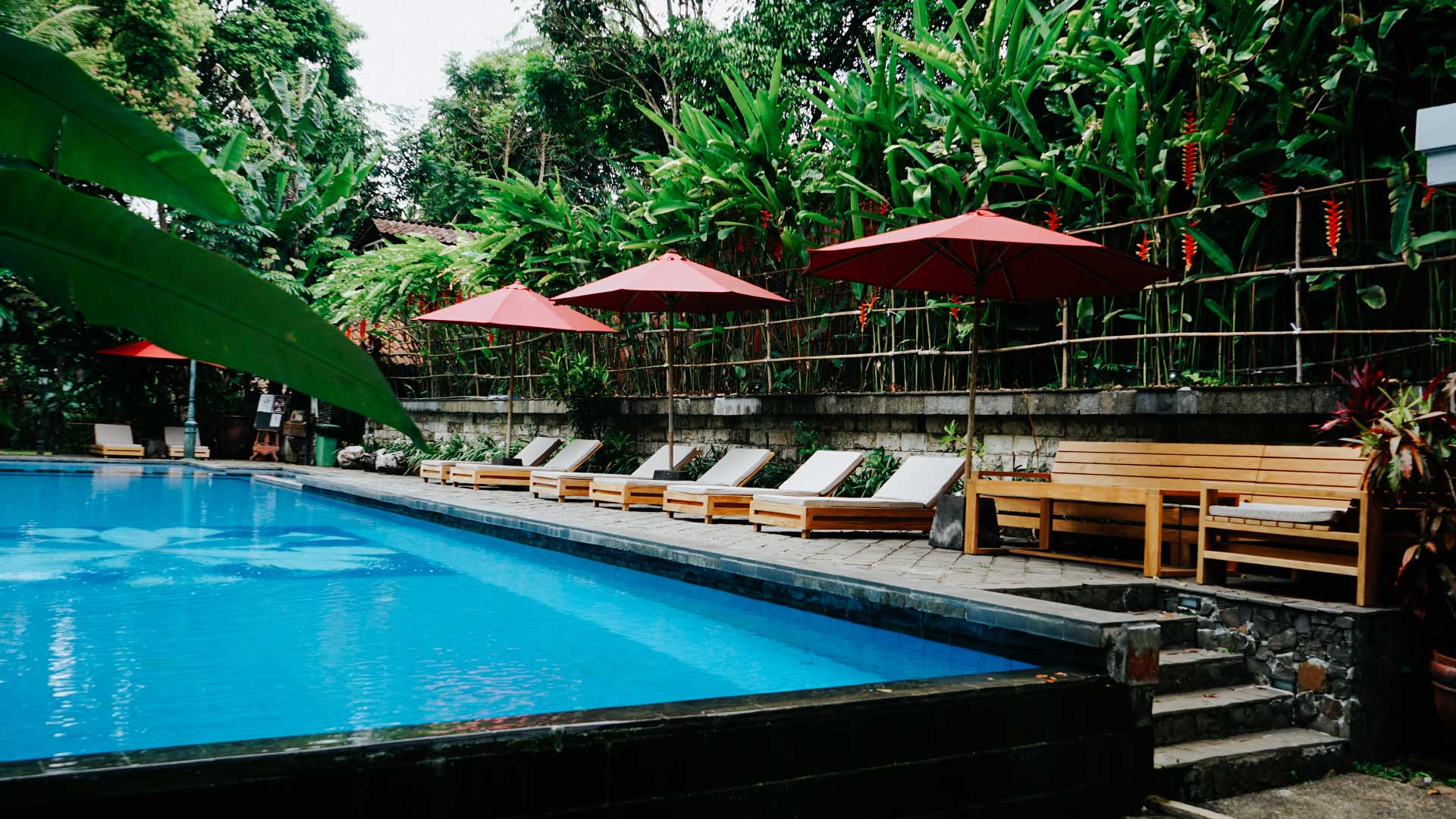 Hotel Kayu Arum (Foto: kayuarum.com)