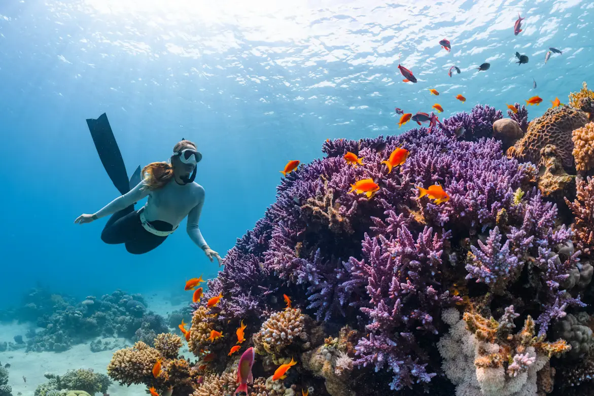 10 Tips Underwater Fotografi, Dari HP hingga GoPro