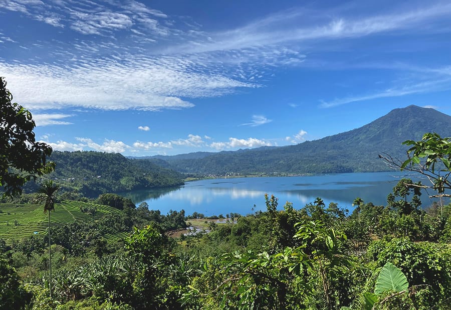 Gajah Sumatera yang Tidak Lagi Mendatangi Danau Ranau