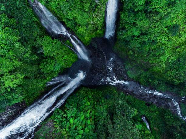 Daya Tarik Air Terjun Sekumpul, Keindahan Alam yang Bikin Adem