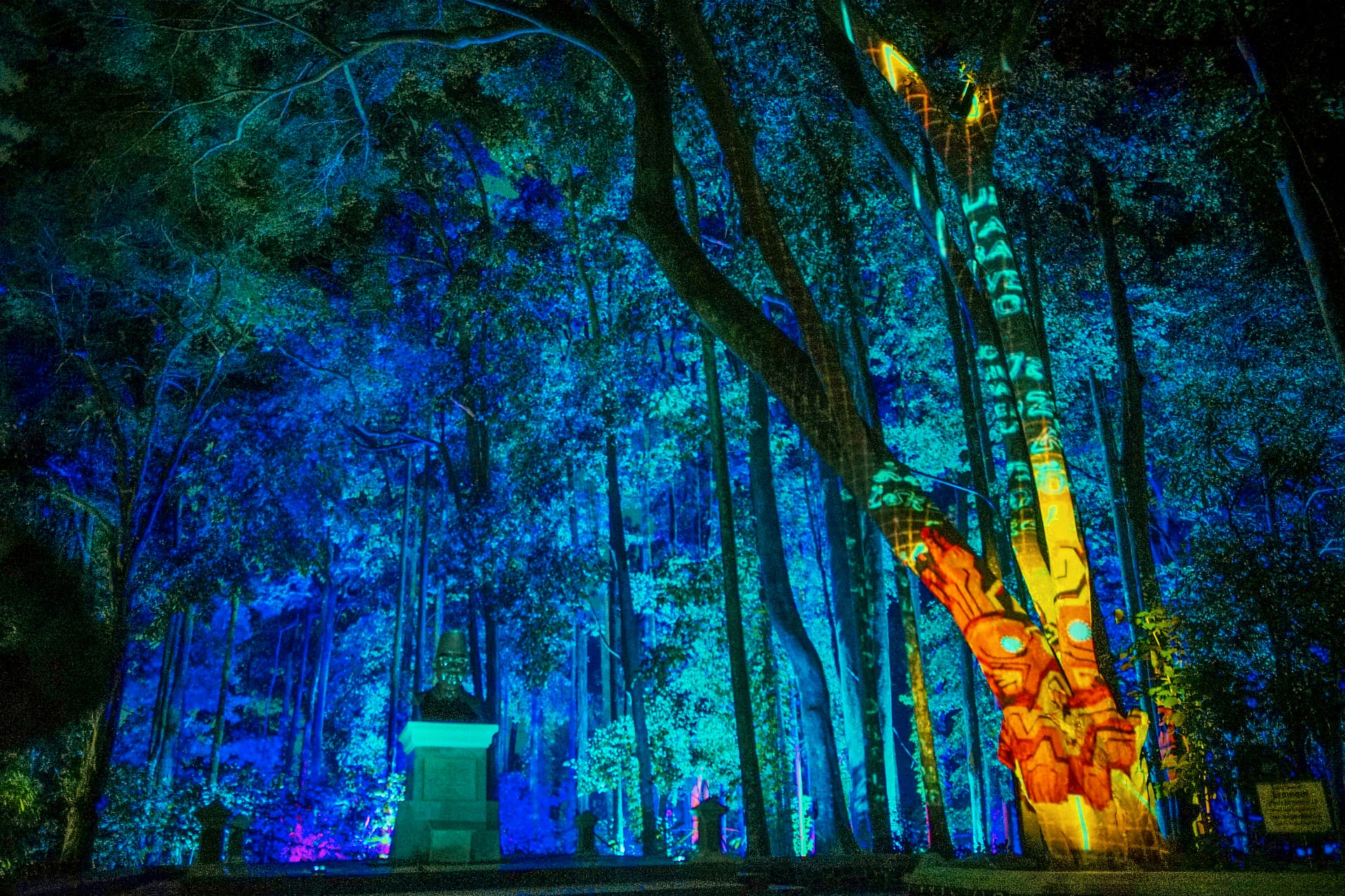 Hutan Menyala Bandung Harga Tiket Promo Up To 7%
