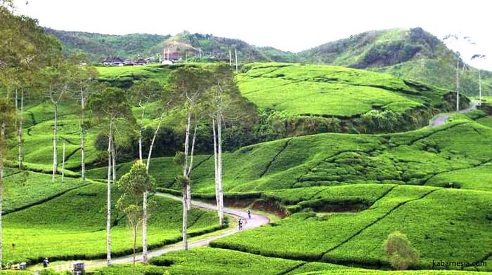 7 Tempat Wisata di Tawangmangu yang Ramah Anak, Liburan Pasti Seru - Happytour.id