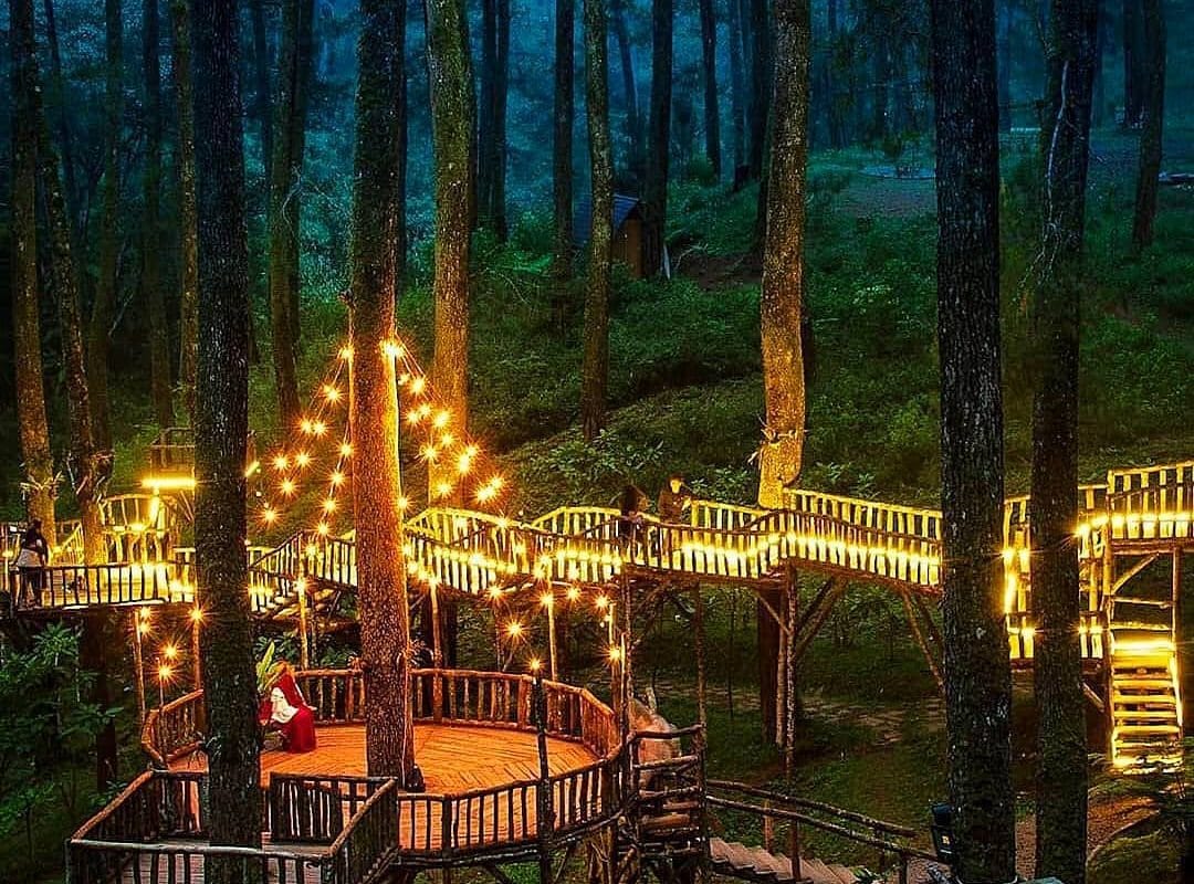 Orchid Forest Cikole Lembang - Paket dan Tempat Outbound, Outing, Gathering di Lembang Bandung | WISATA BANDUNG OFFROAD | OFFROAD LEMBANG | OUTBOUND | OUTING | GATHERING