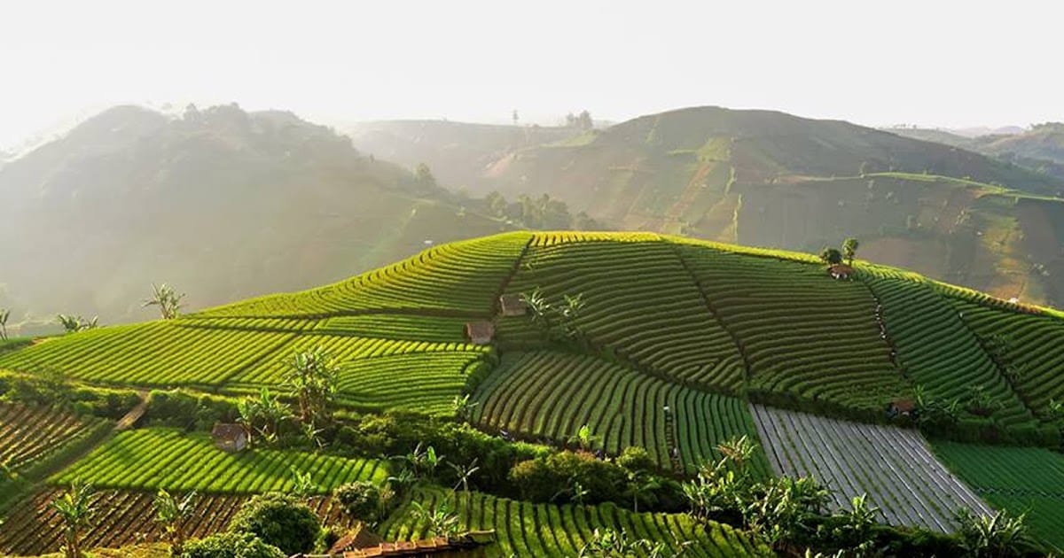 Berwisata ke Terasering Panyaweuyan Argapura, Majalengka