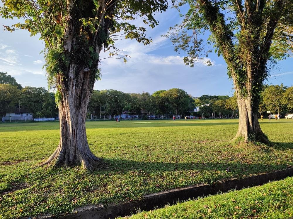 Lapangan Merdeka Balikpapan: Ruang Hijau & Rekreasi Kota