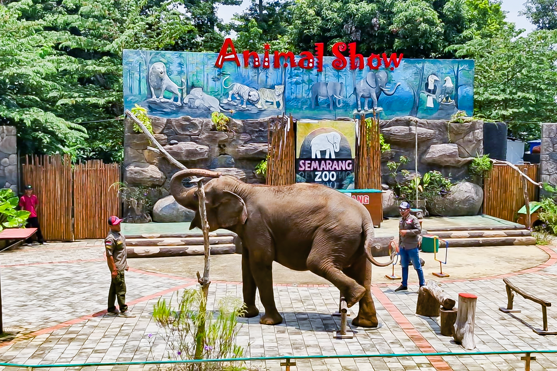 Tiket Semarang Zoo - Harga Tiket Masuk Terbaru