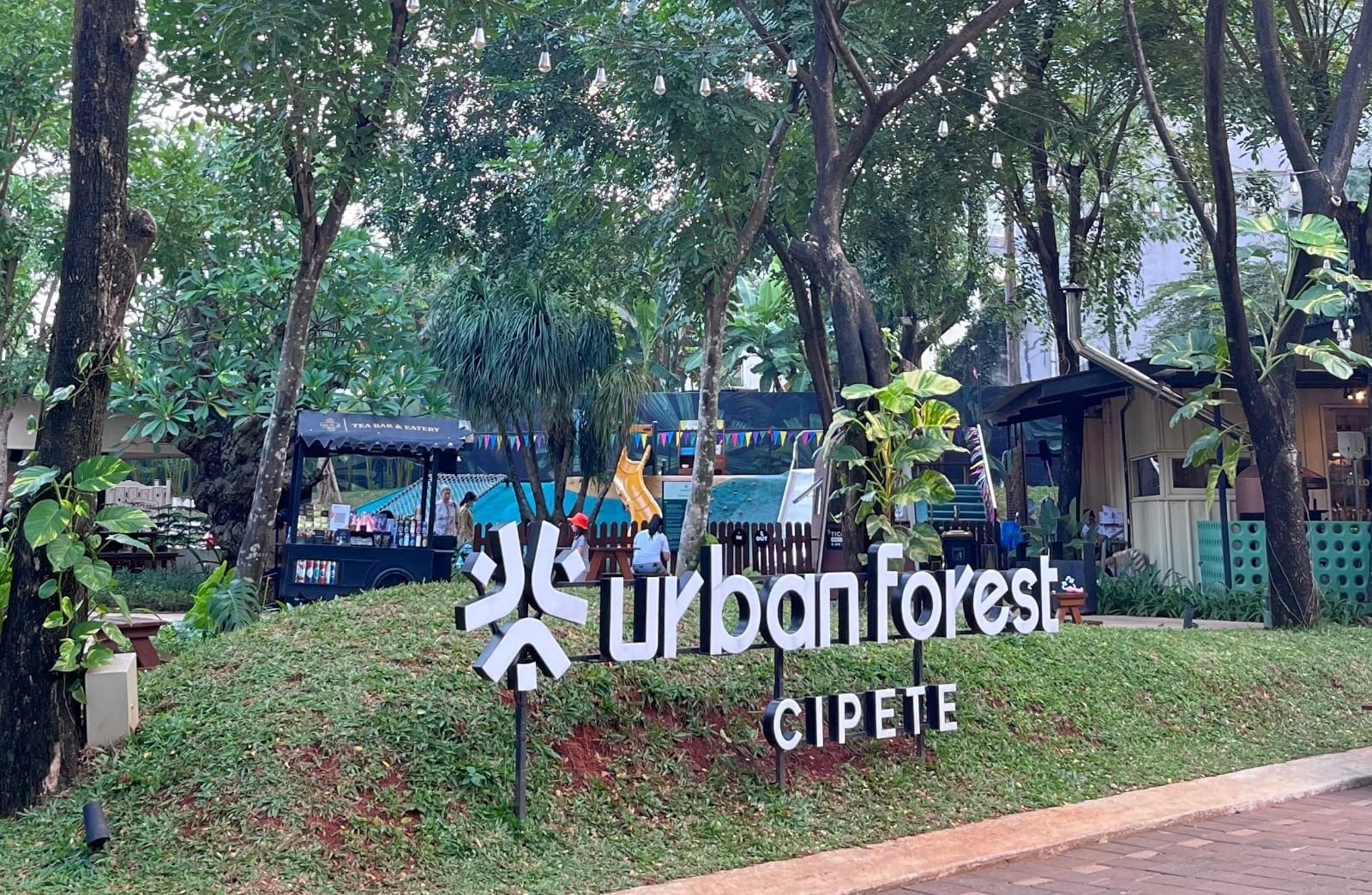 Urban Escape in the Heart of Jakarta: Discovering Urban Forest Cipete | NNC Netralnews