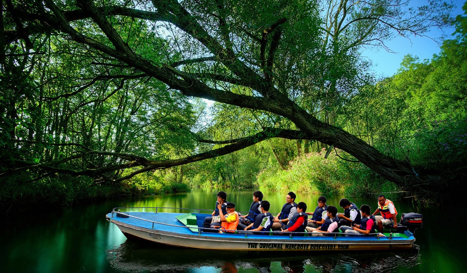 Bintan Mangrove : Harga Tiket, Foto, Lokasi, Fasilitas dan Spot - TempatWisata.pro