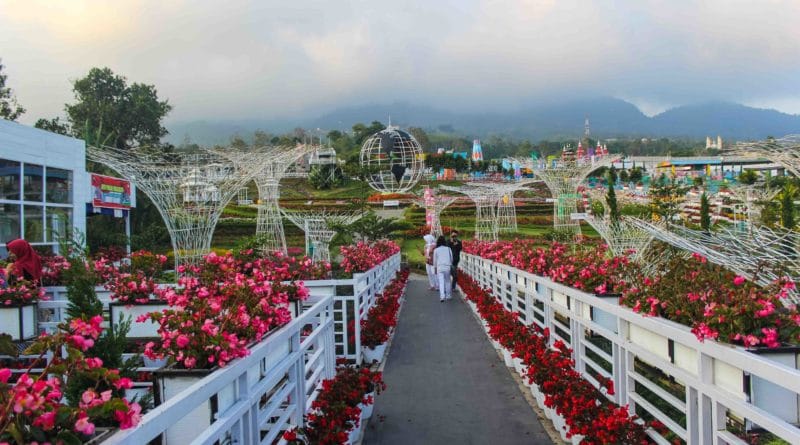 Pariwisata Provinsi Jawa Tengah | Destinasi Wisata | Taman Bunga Celosia