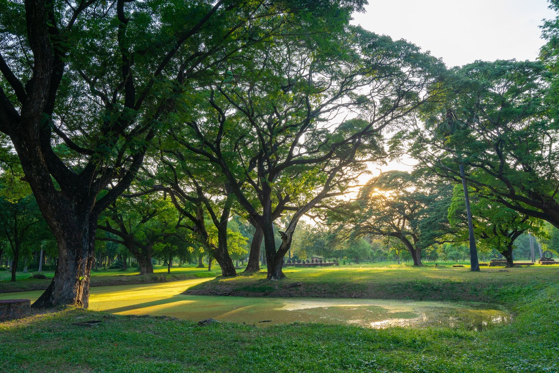 Ruang Terbuka Hijau di Samarinda yang Nyaman untuk Jogging, Piknik, dan Bersantai