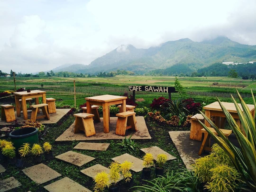 Cafe dengan view sawah dan suasana alam di Jogja