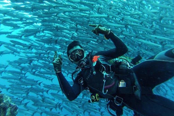 Hal-Hal yang Bisa Dilakukan Saat Berwisata ke Pulau Maratua