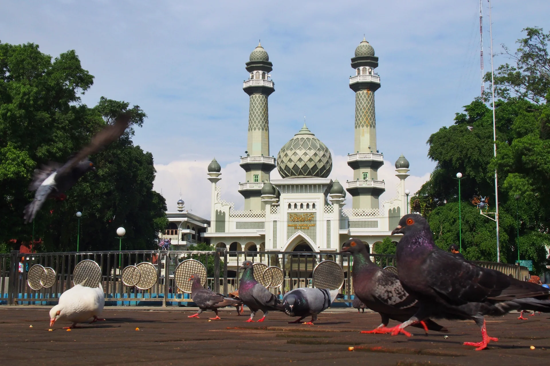 Burung merpati di pelataran Alun-Alun Merdeka Malang dengan Masjid Jami' Malang bermenara kembar dan kubah hijau di latar belakang pada siang hari