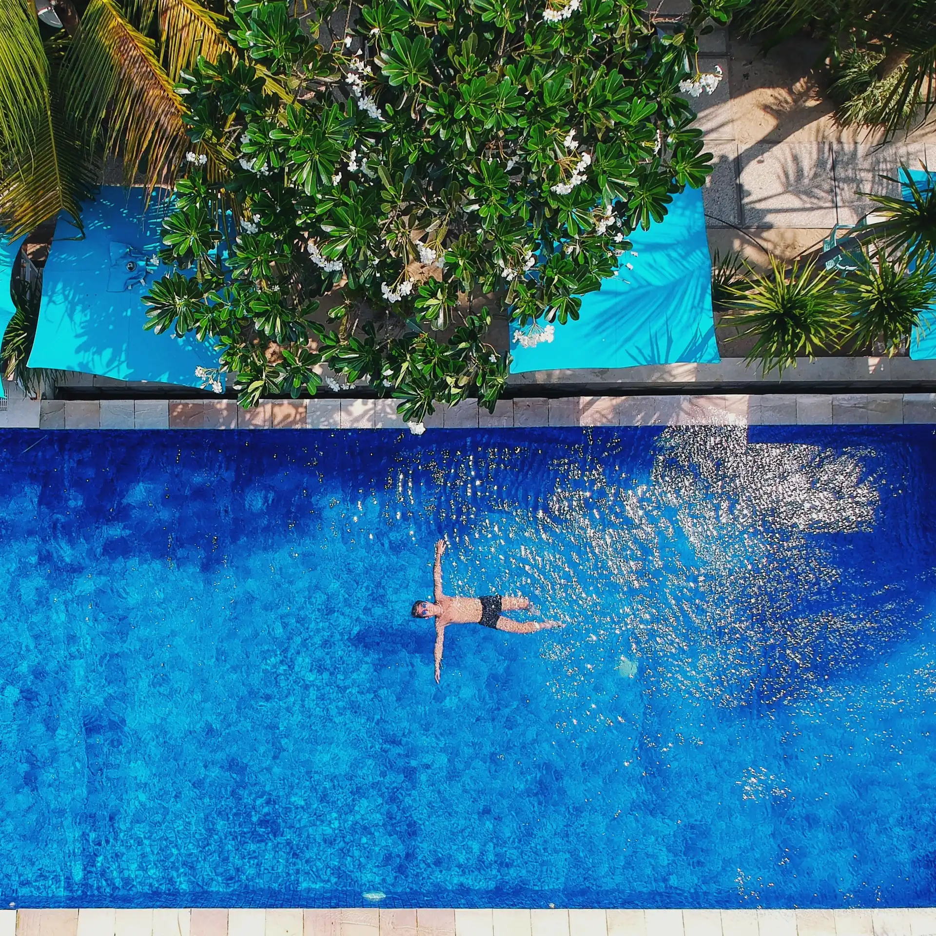 perenang mengapung di kolam biru Ocean View Residence Hotel Jepara di bawah pohon kamboja