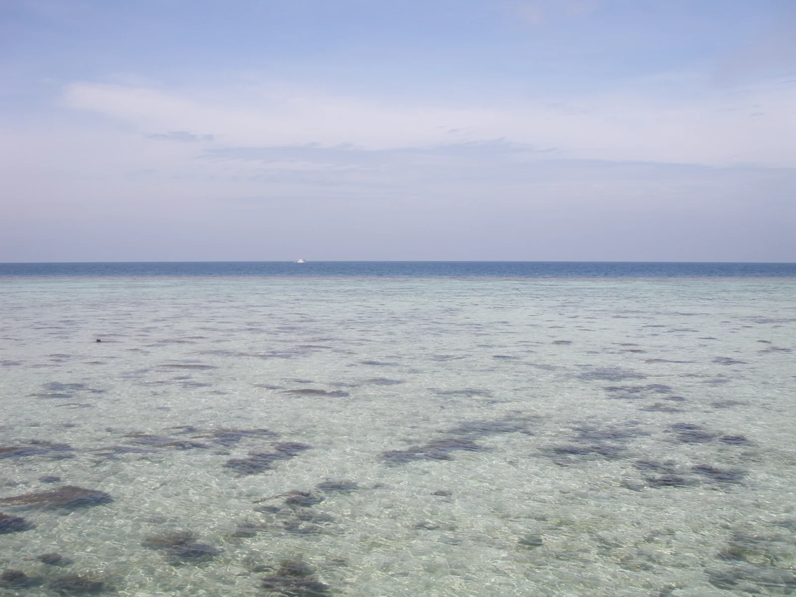 laut dangkal yang jernih dengan dasar karang dan lamun di Pulau Tidung, Kepulauan Seribu