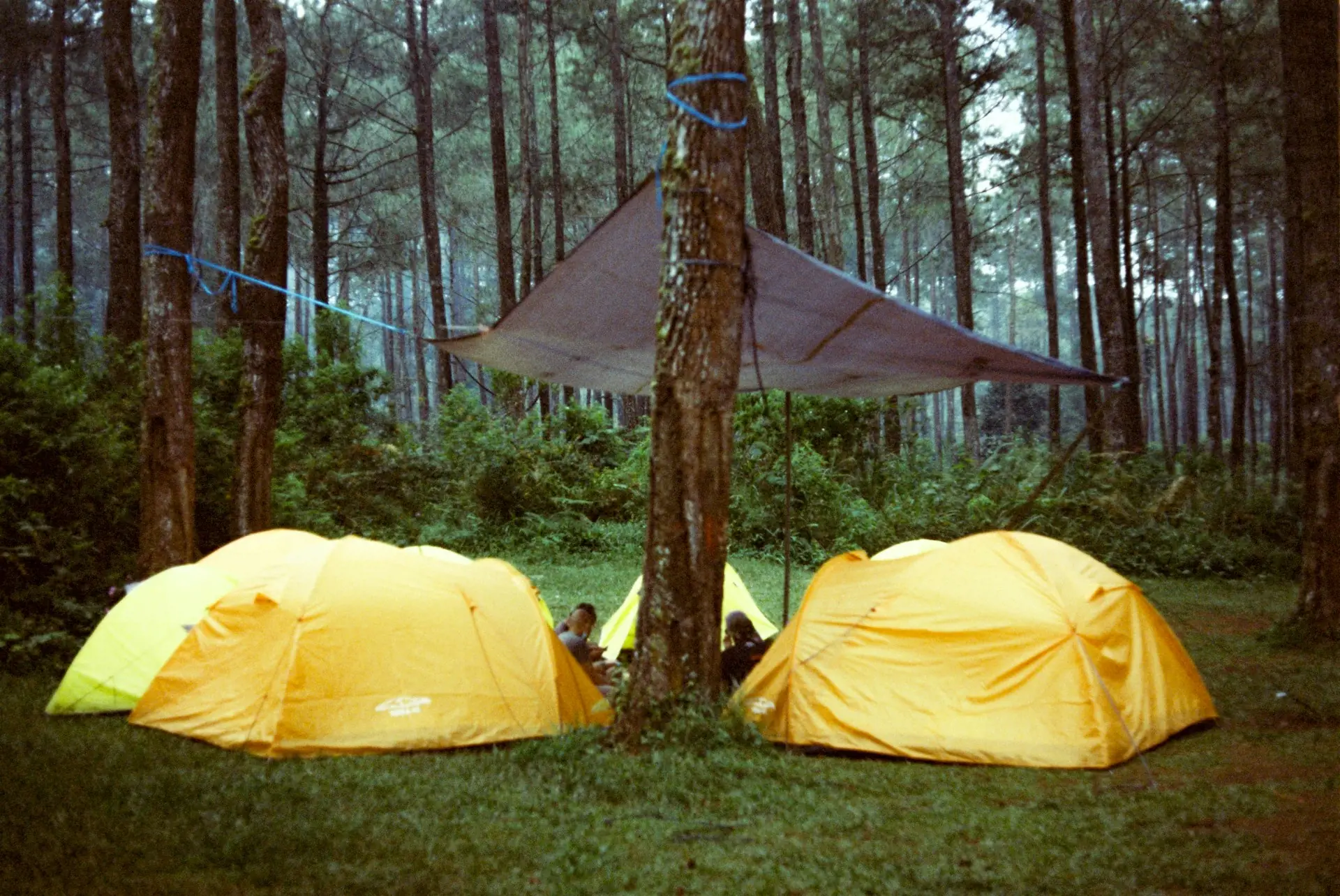 Tenda kuning dengan flysheet terbentang di antara pohon untuk menahan hujan